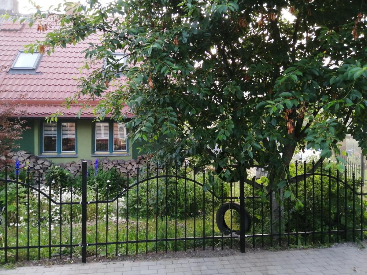 Zielony Domek W Sztynorcie Sztynort Dış mekan fotoğraf