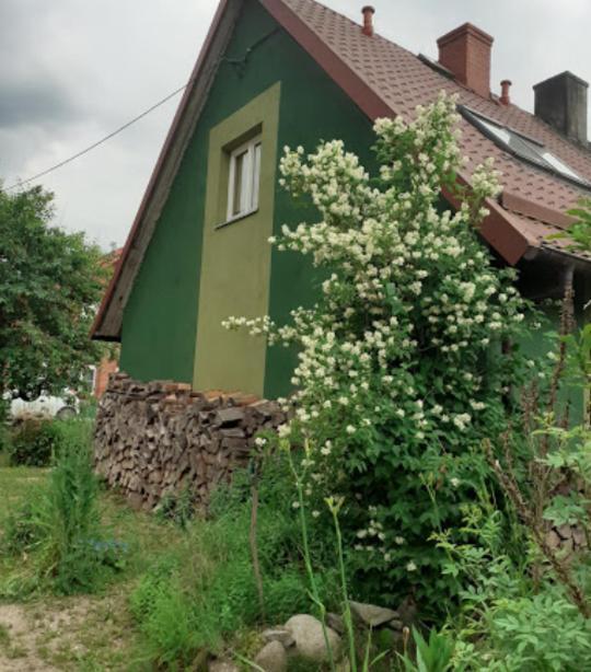 Zielony Domek W Sztynorcie Sztynort Dış mekan fotoğraf